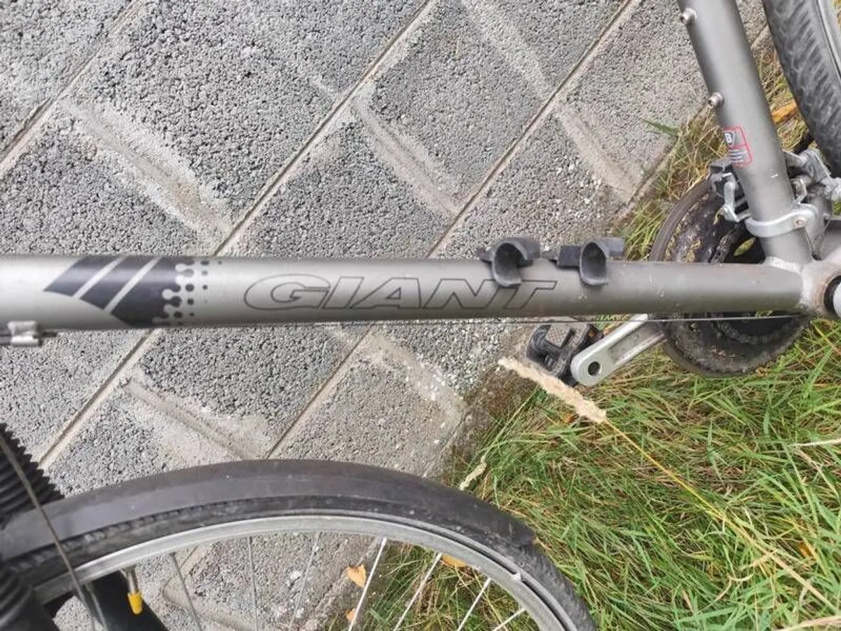 bicycles - Image 4