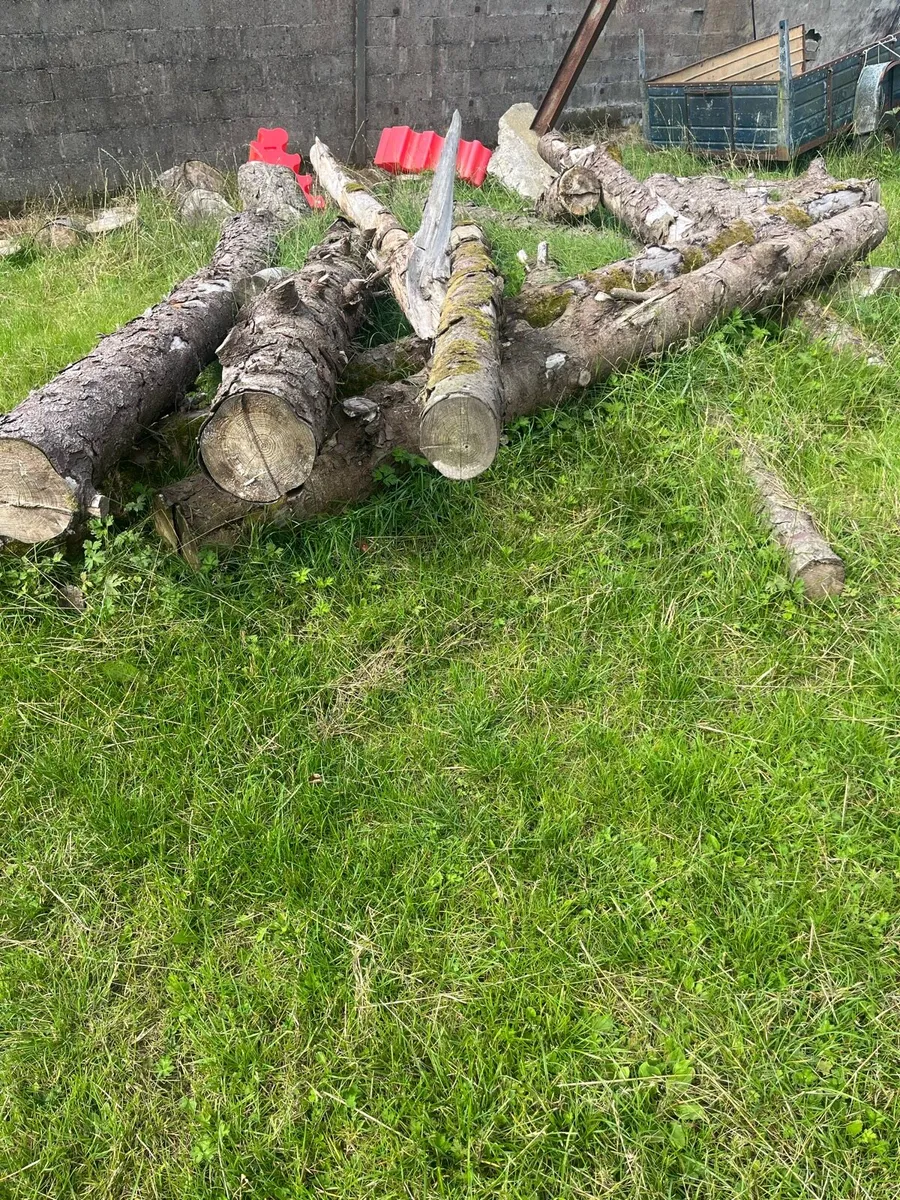 Timber