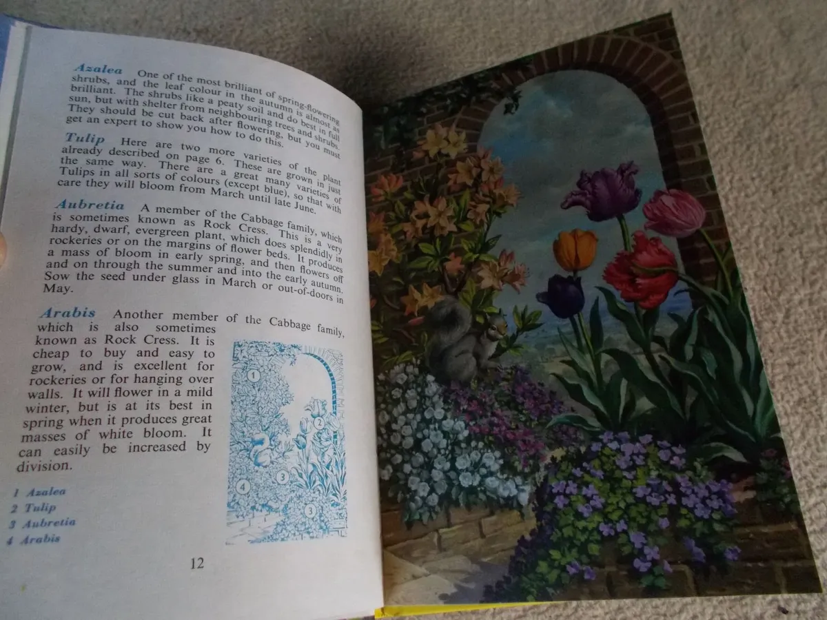 'Ladybird' Book from 1960 *New* - Image 4
