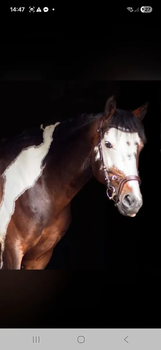 Mare and foal - Image 3