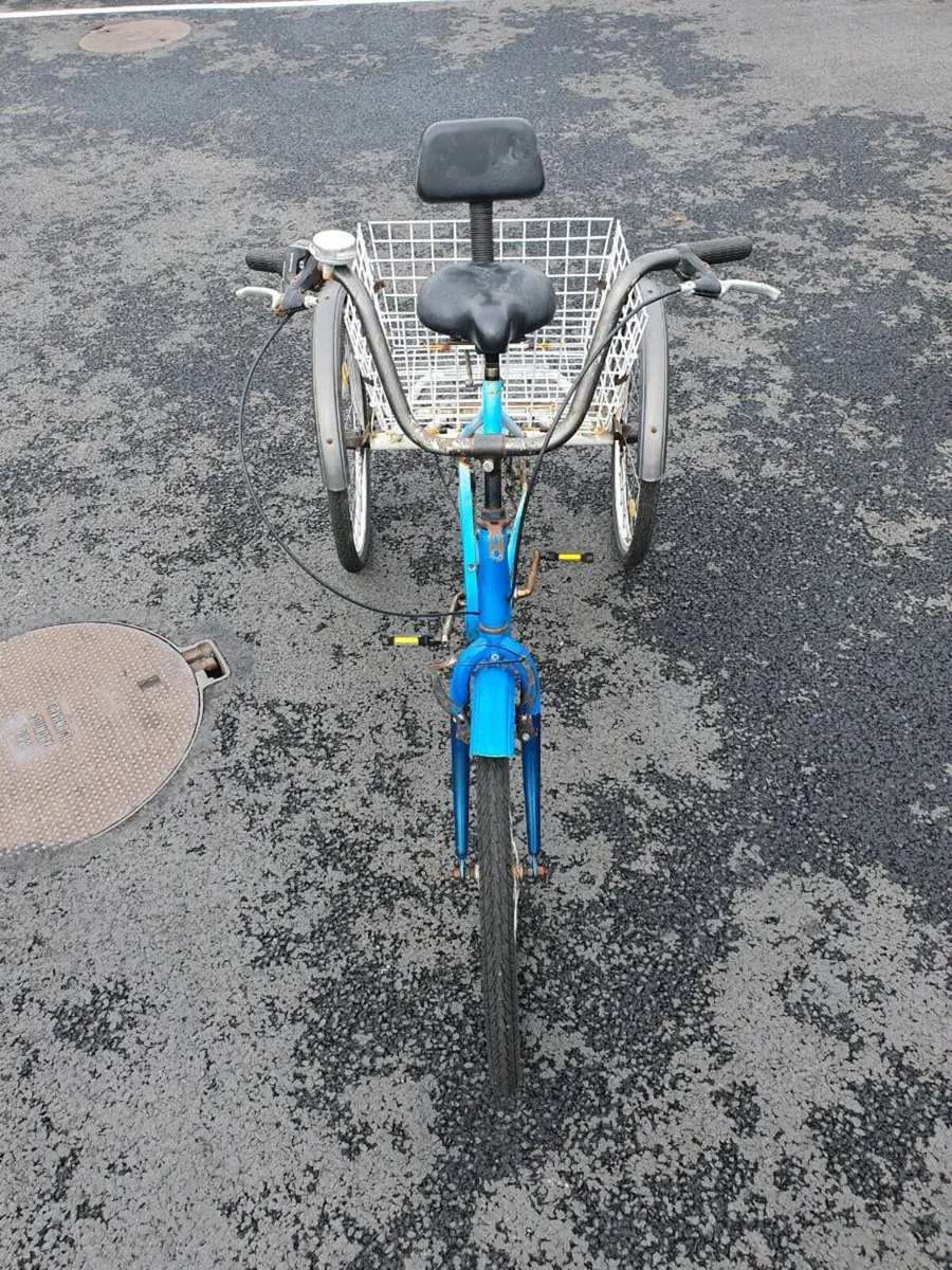 Tree Wheeler bicycle in perfect condition German - Image 2