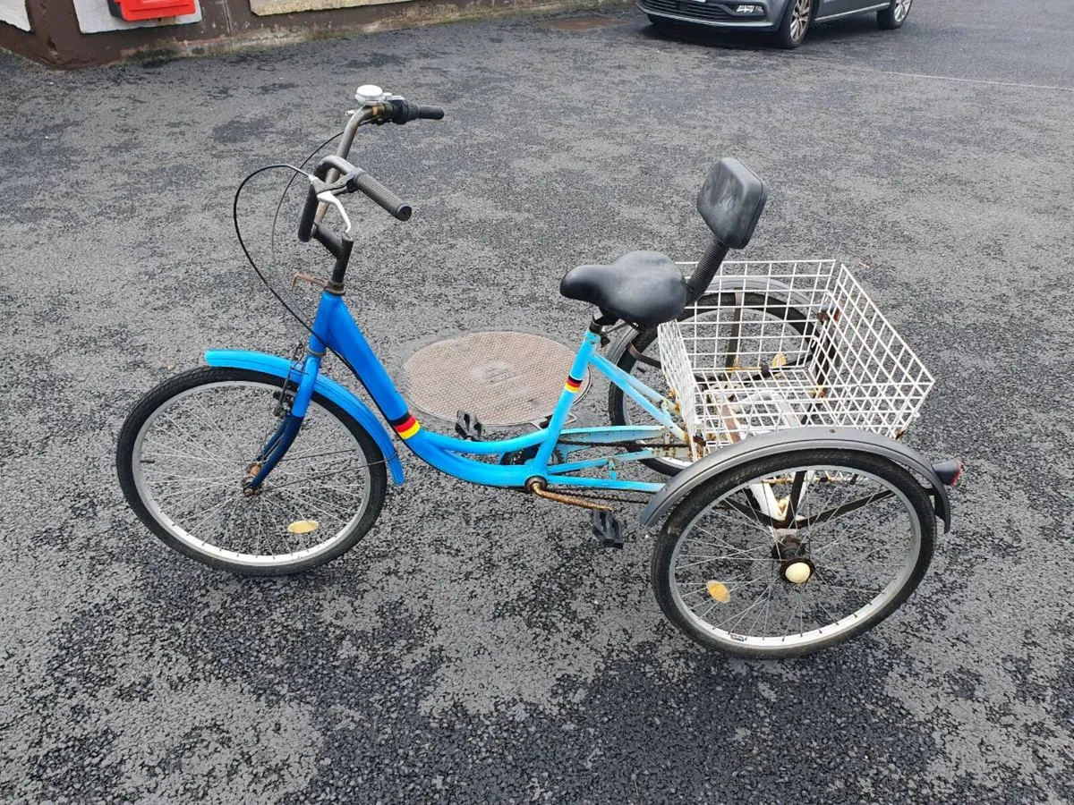 Tree Wheeler bicycle in perfect condition German - Image 4