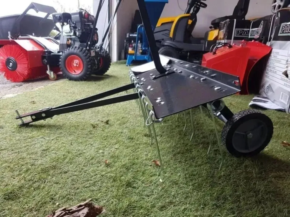 LAWN DE-THATCHER- FOR SALE - Image 3