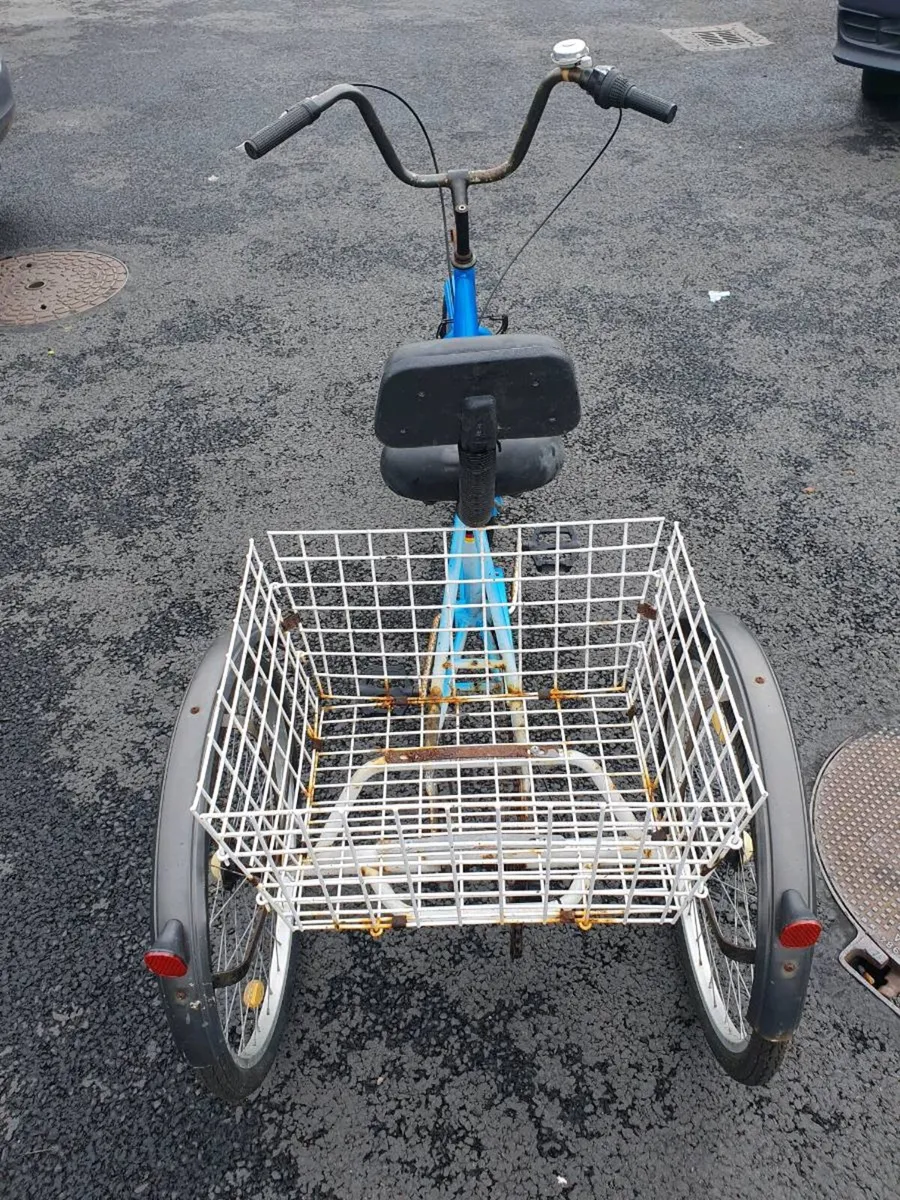 Tree Wheeler bicycle with basket Works perfectly f - Image 4