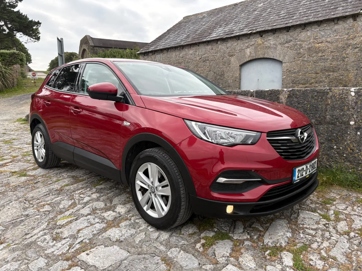 2021 Opel Grandland X - Image 1
