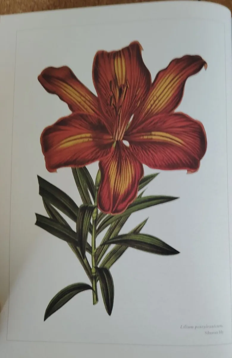 RHS Botany for Gardeners - Image 1