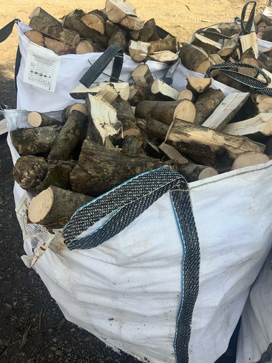 Firewood - Image 2