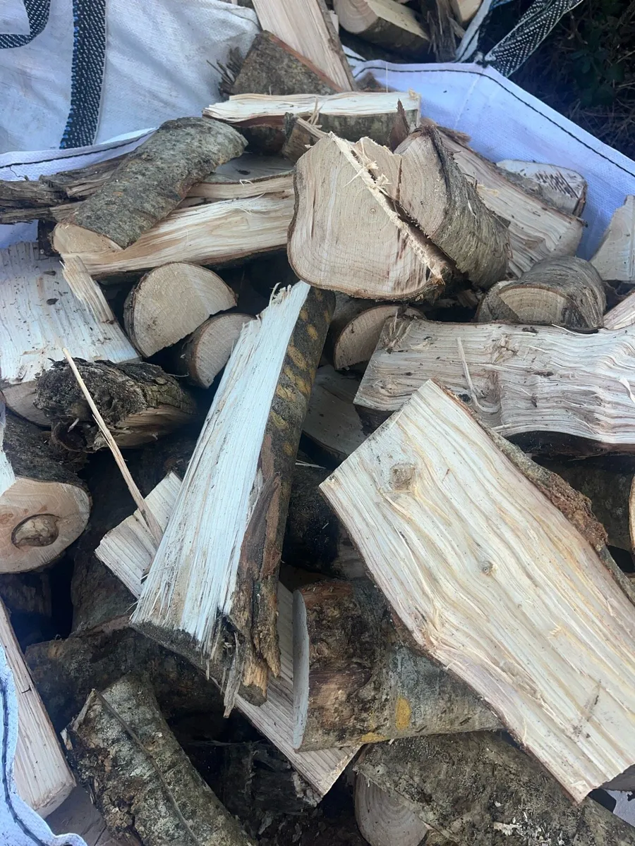 Firewood - Image 1