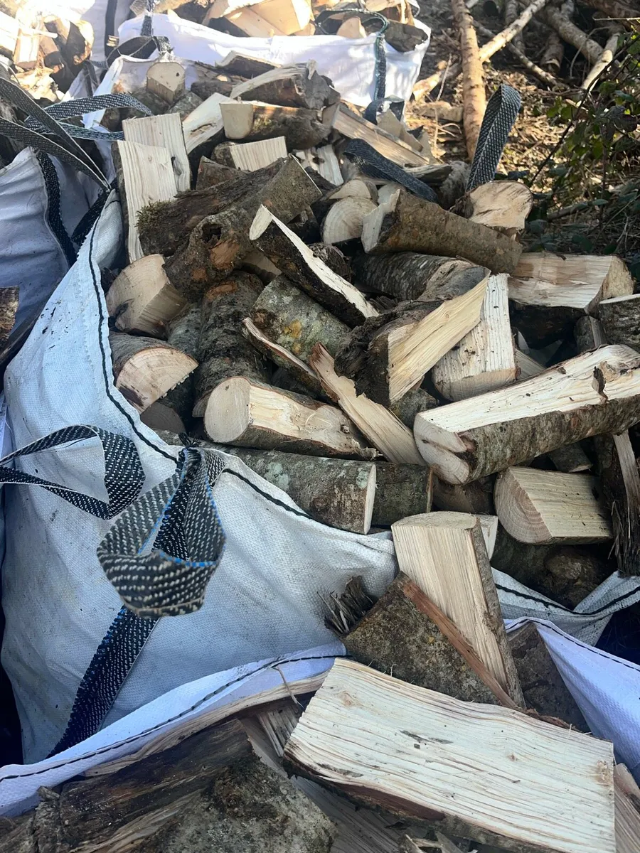 Firewood - Image 4