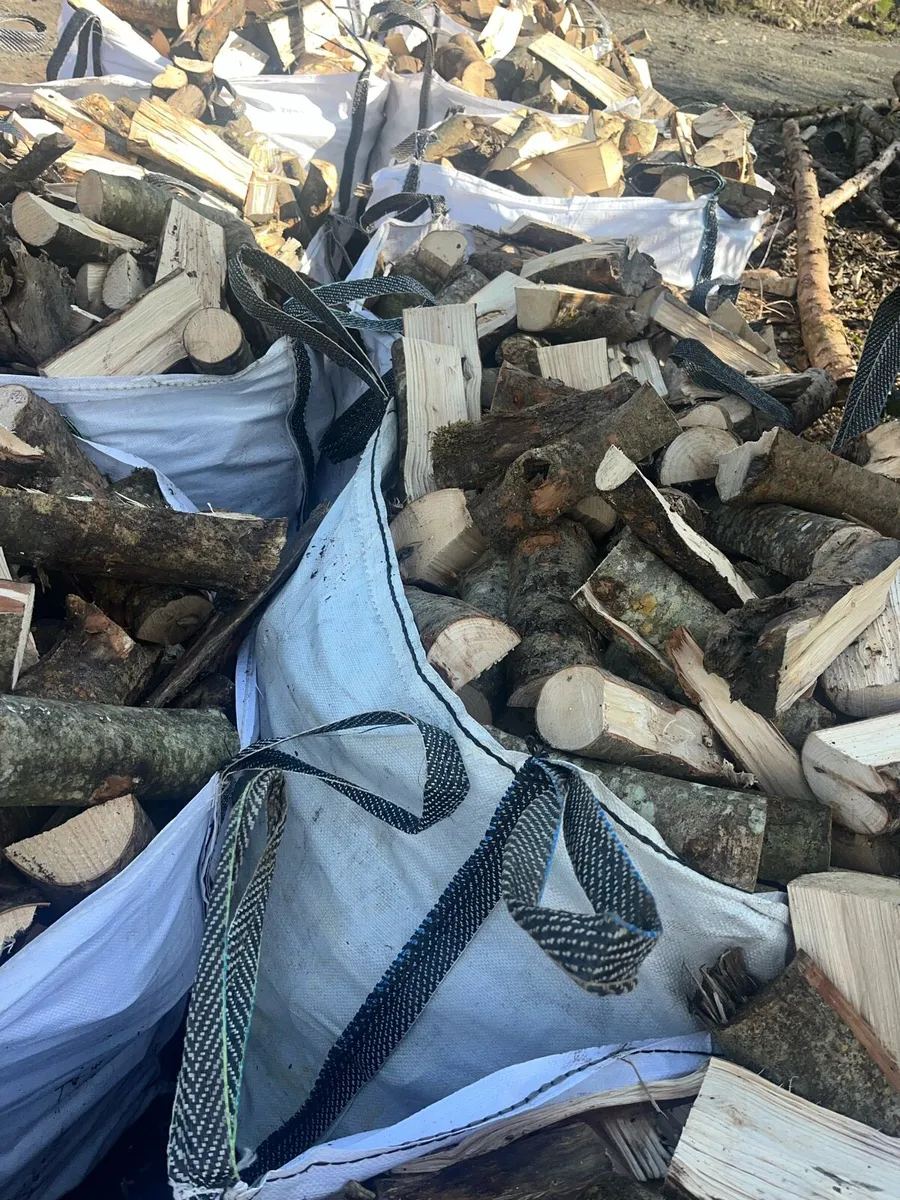 Firewood - Image 3
