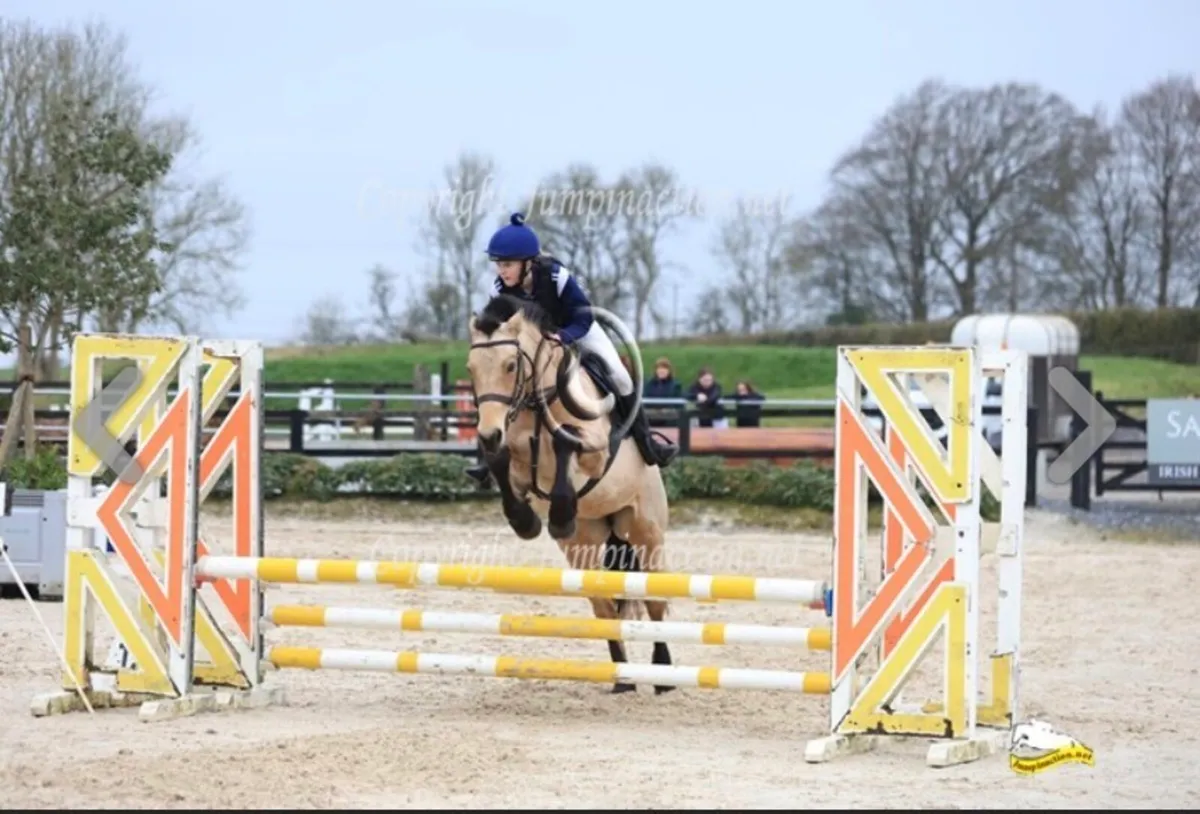 Pony - Image 1