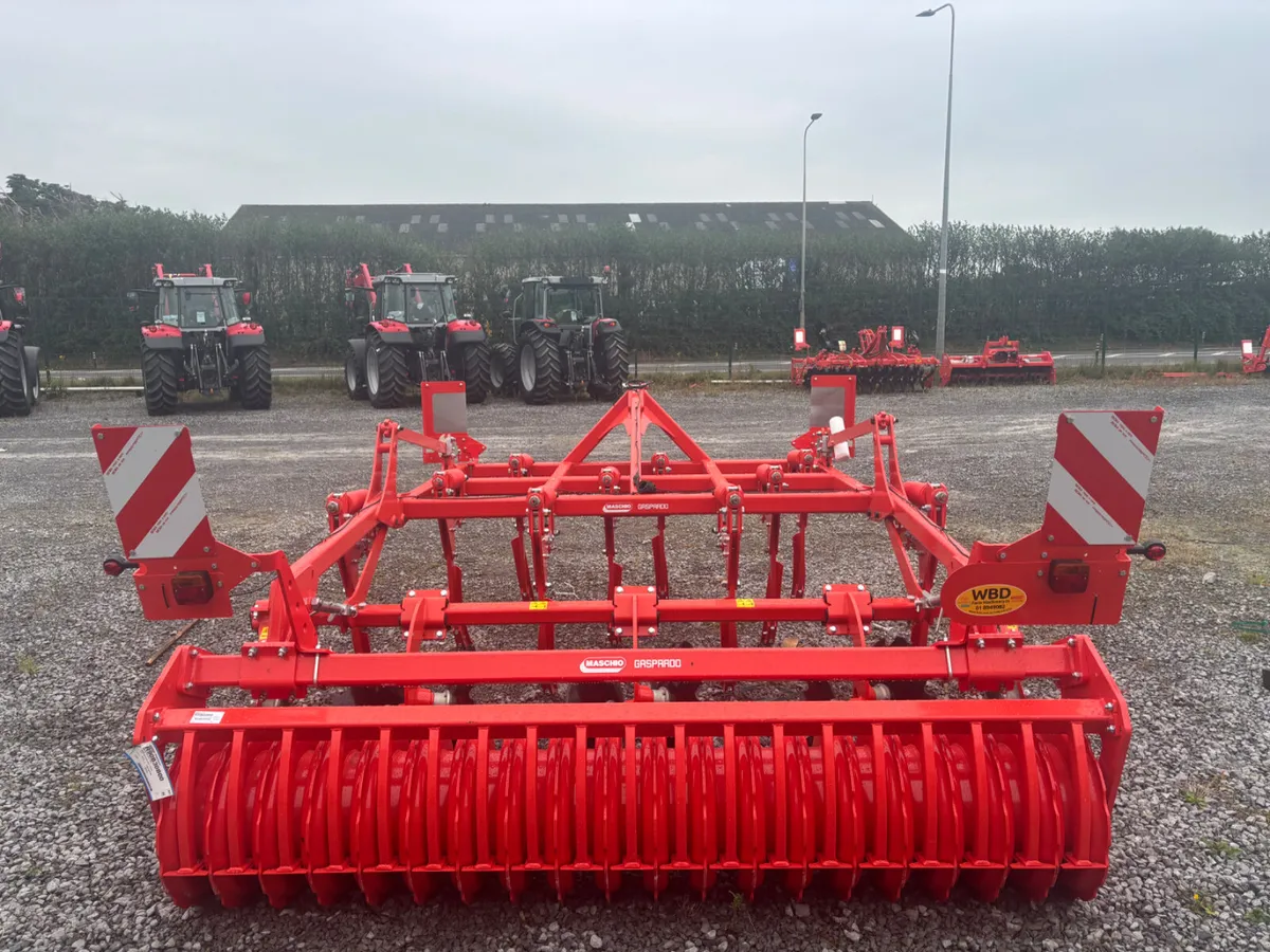 Maschio Terremoto 3 stubble cultivator - Image 3
