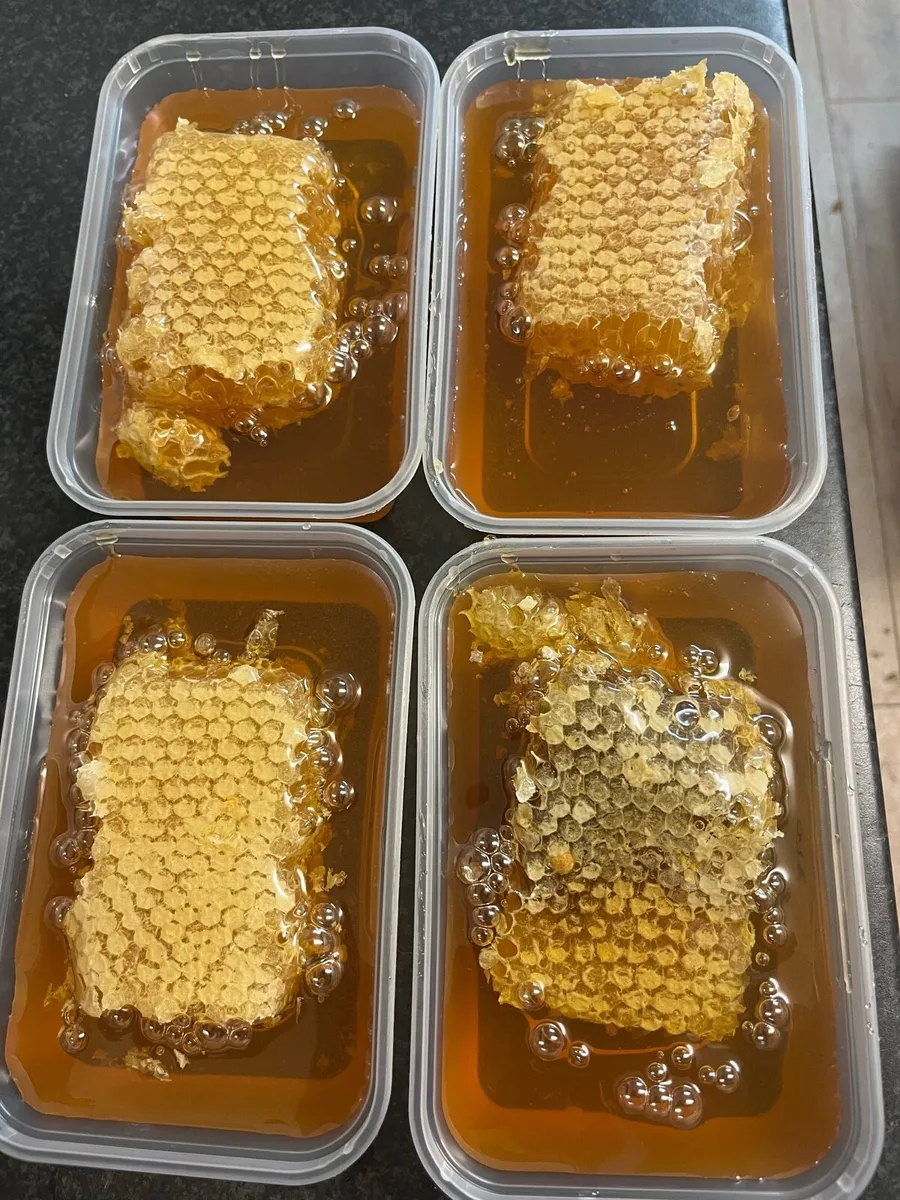 SUMMER 2026 RAW HONEY - Image 2