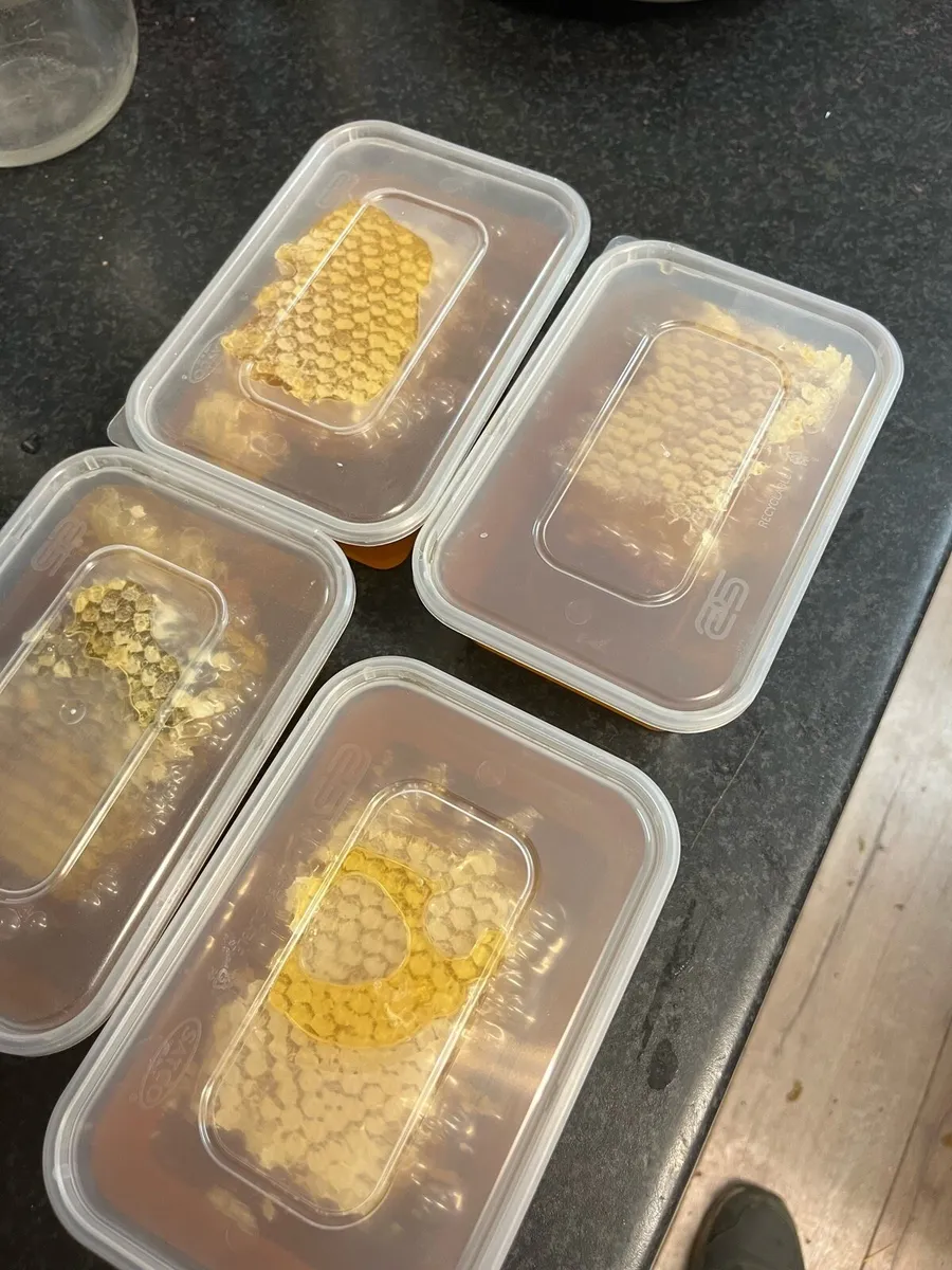 SUMMER 2026 RAW HONEY - Image 3