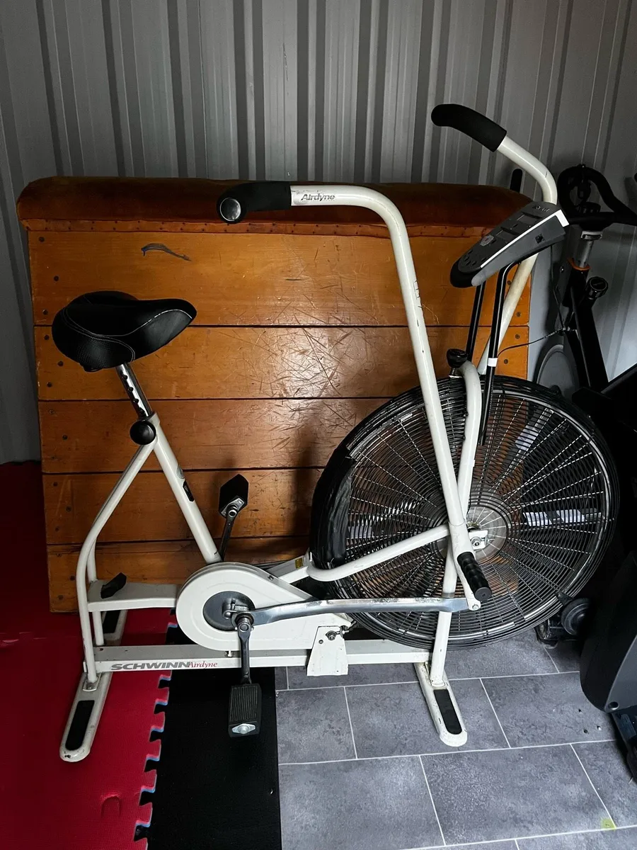 Schwinn assault bike