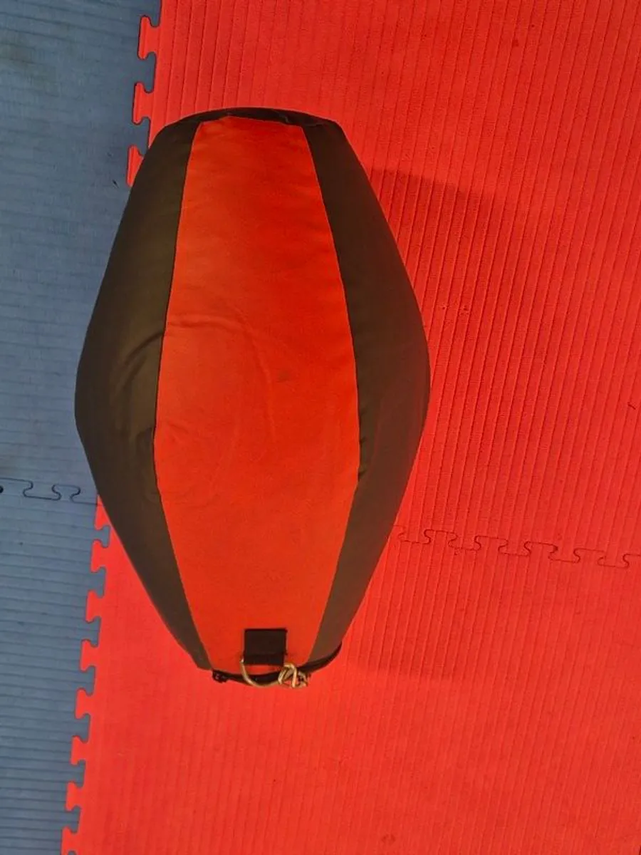 Used Kick and Punch bags for sale - Image 4
