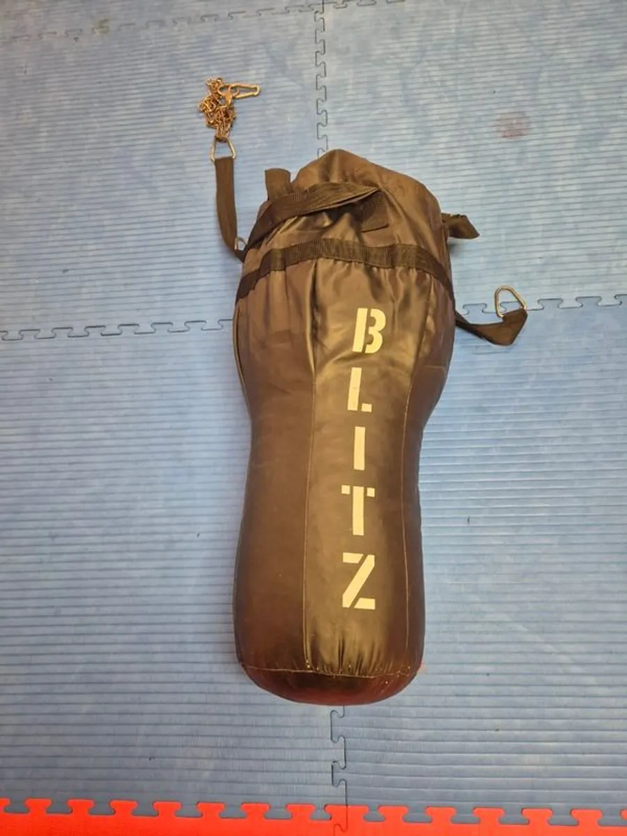 Used Kick and Punch bags for sale - Image 1