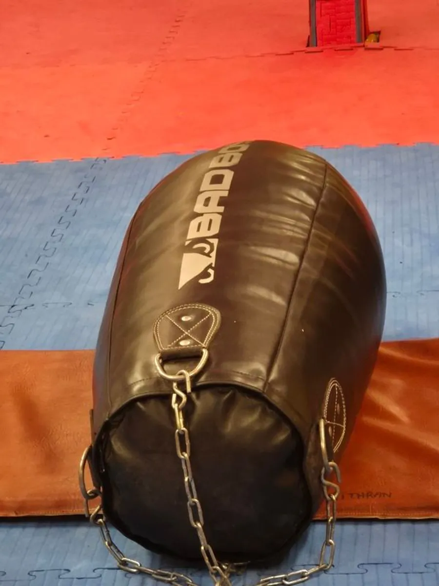 Used Kick and Punch bags for sale - Image 2