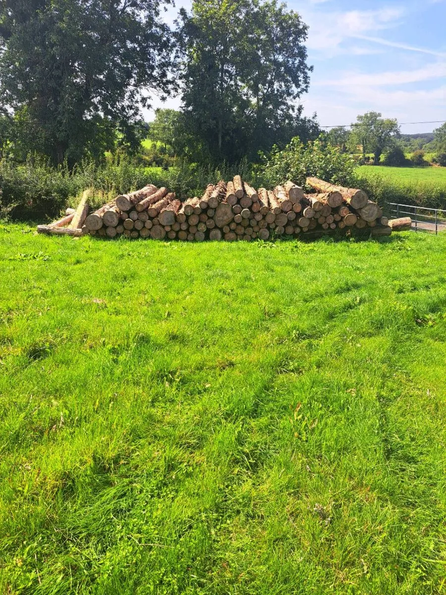 Logs