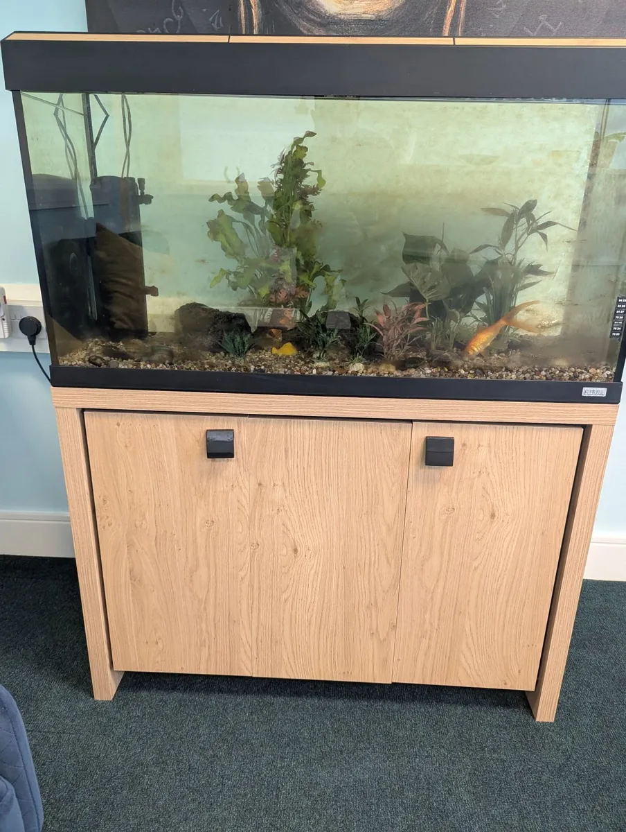 Aquarium - Fluval - Image 1