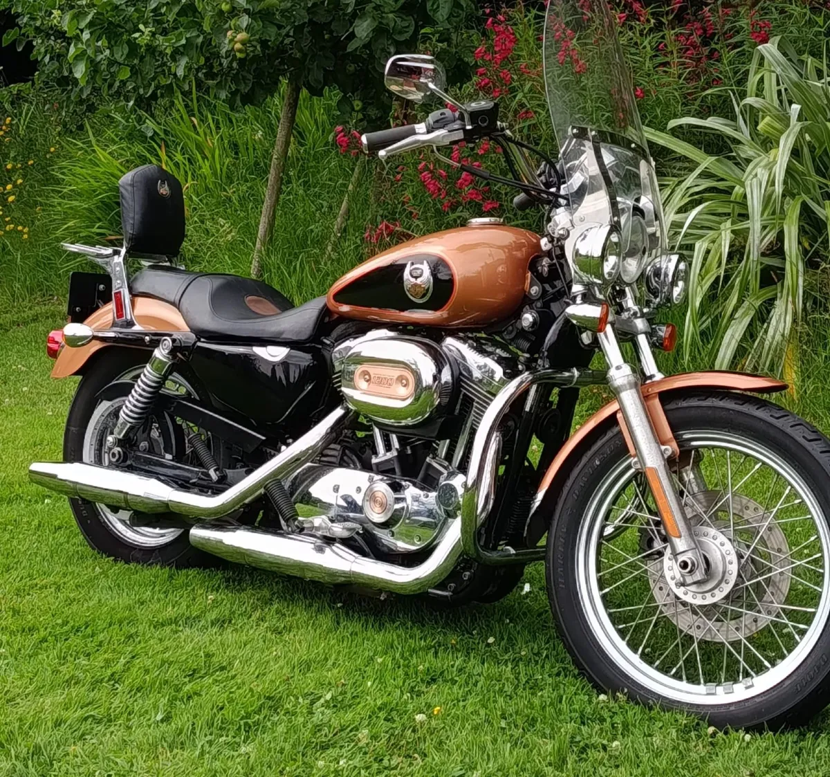 Harley Davidson 1200 Sportster Limited edition. - Image 1