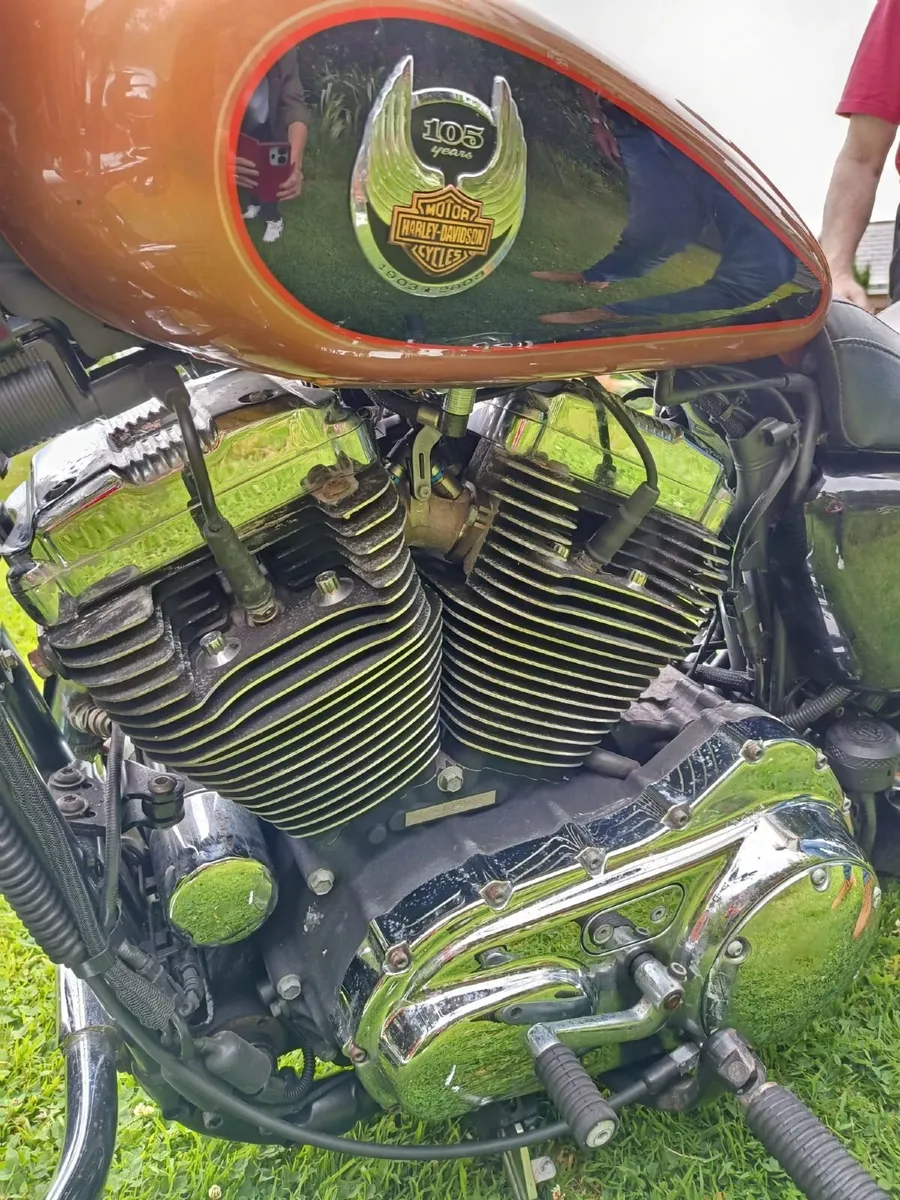 Harley Davidson 1200 Sportster Limited edition. - Image 3