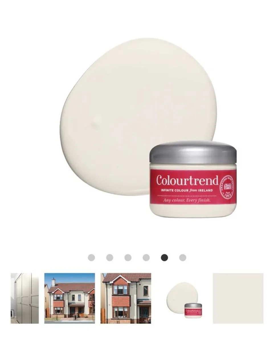 Exterior Wall Paint - Image 4
