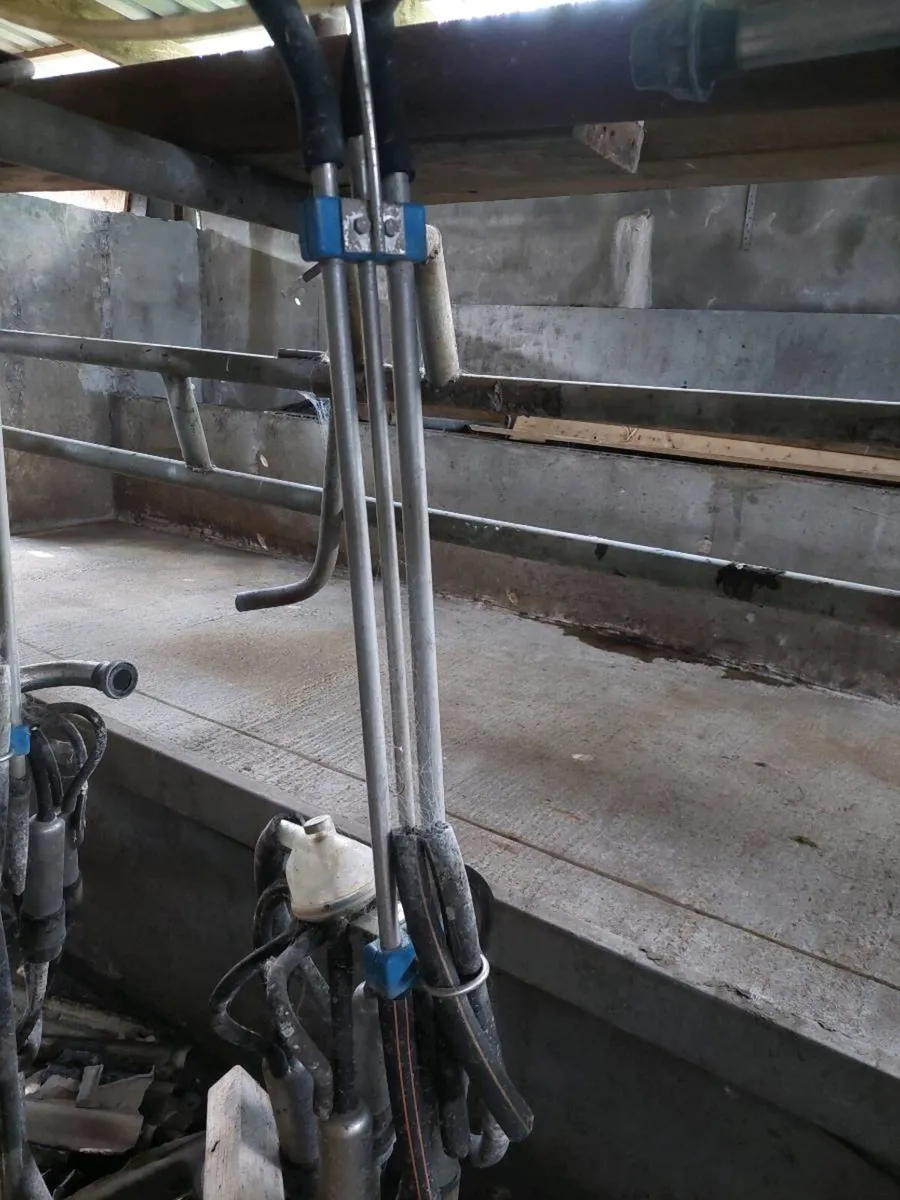 Milking parlour whole or parts - Image 3