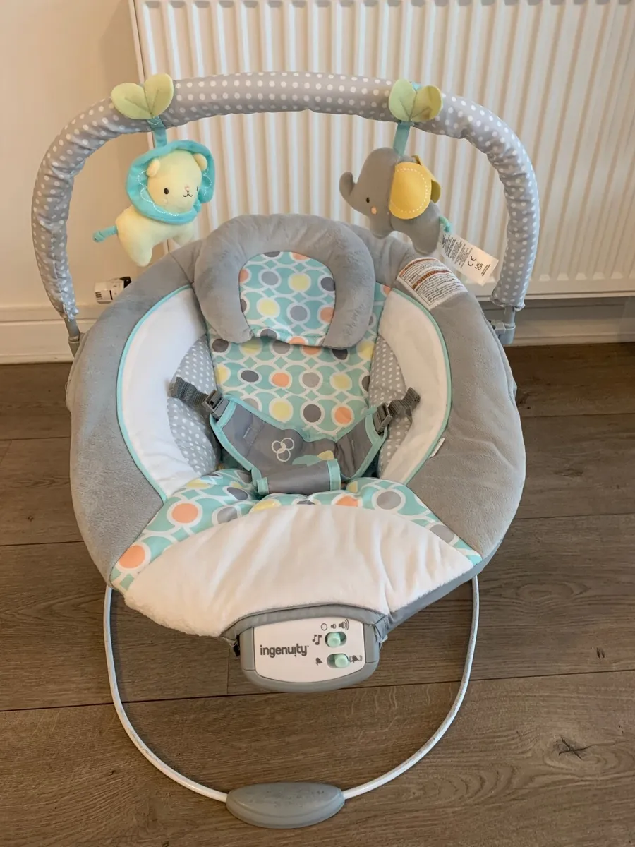 Ingenuity baby bouncer / rocker - Image 2
