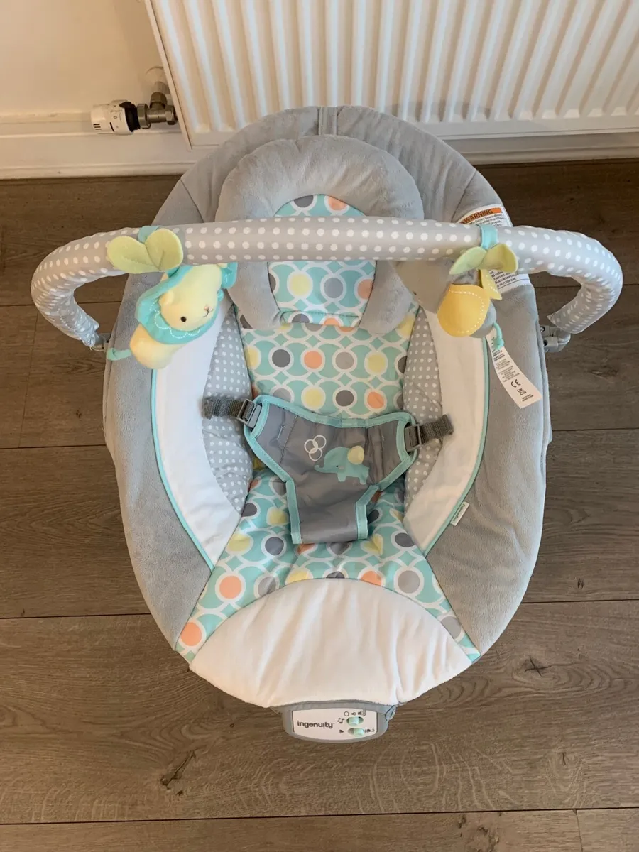 Ingenuity baby bouncer / rocker - Image 1
