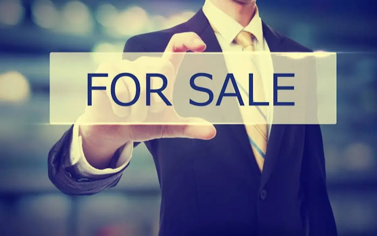 IT Business for sale - 24% Share available