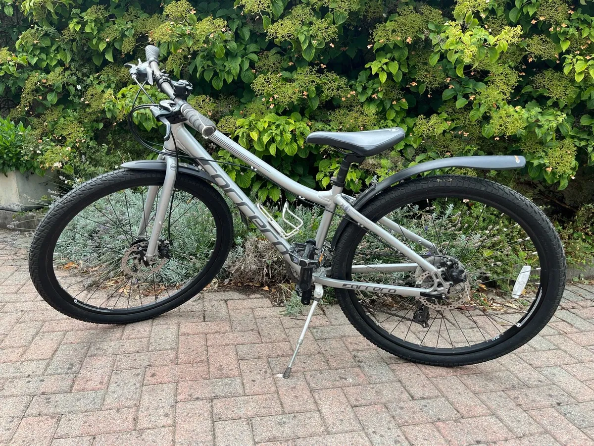 Mountain bike - Image 1