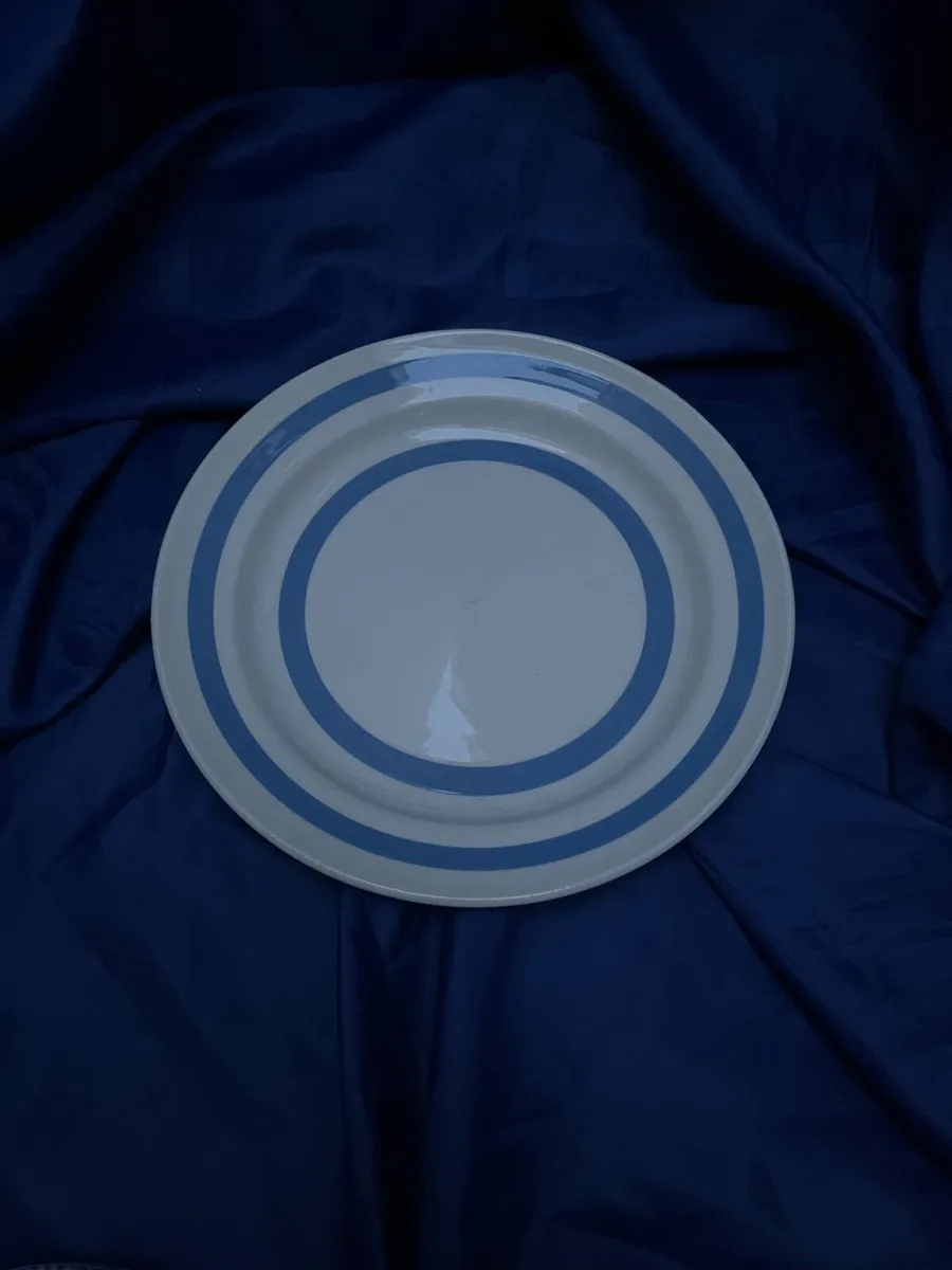 Blue and white plate - Image 1