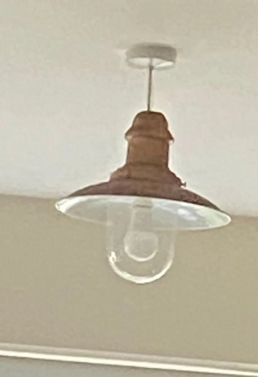 WANTED Ceiling Pendant Light