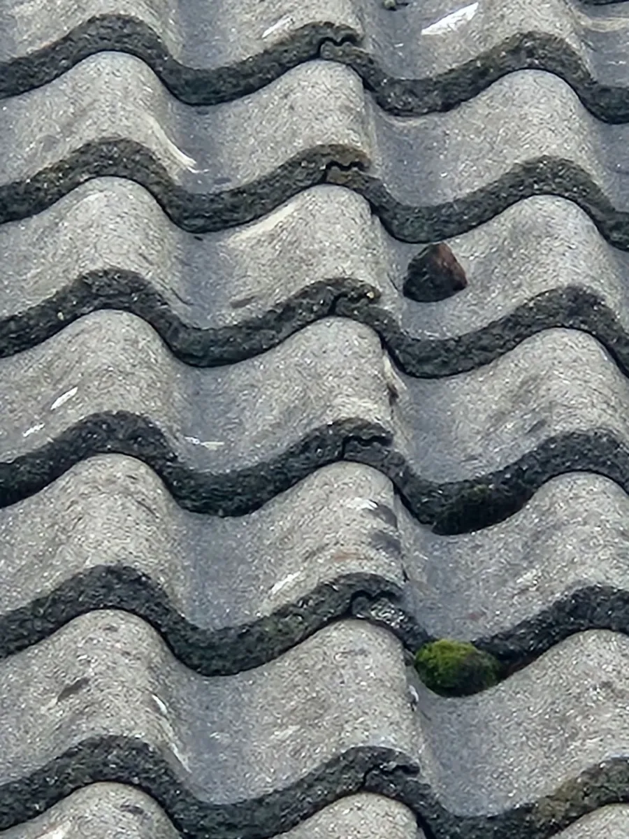 Roof tiles - Image 3