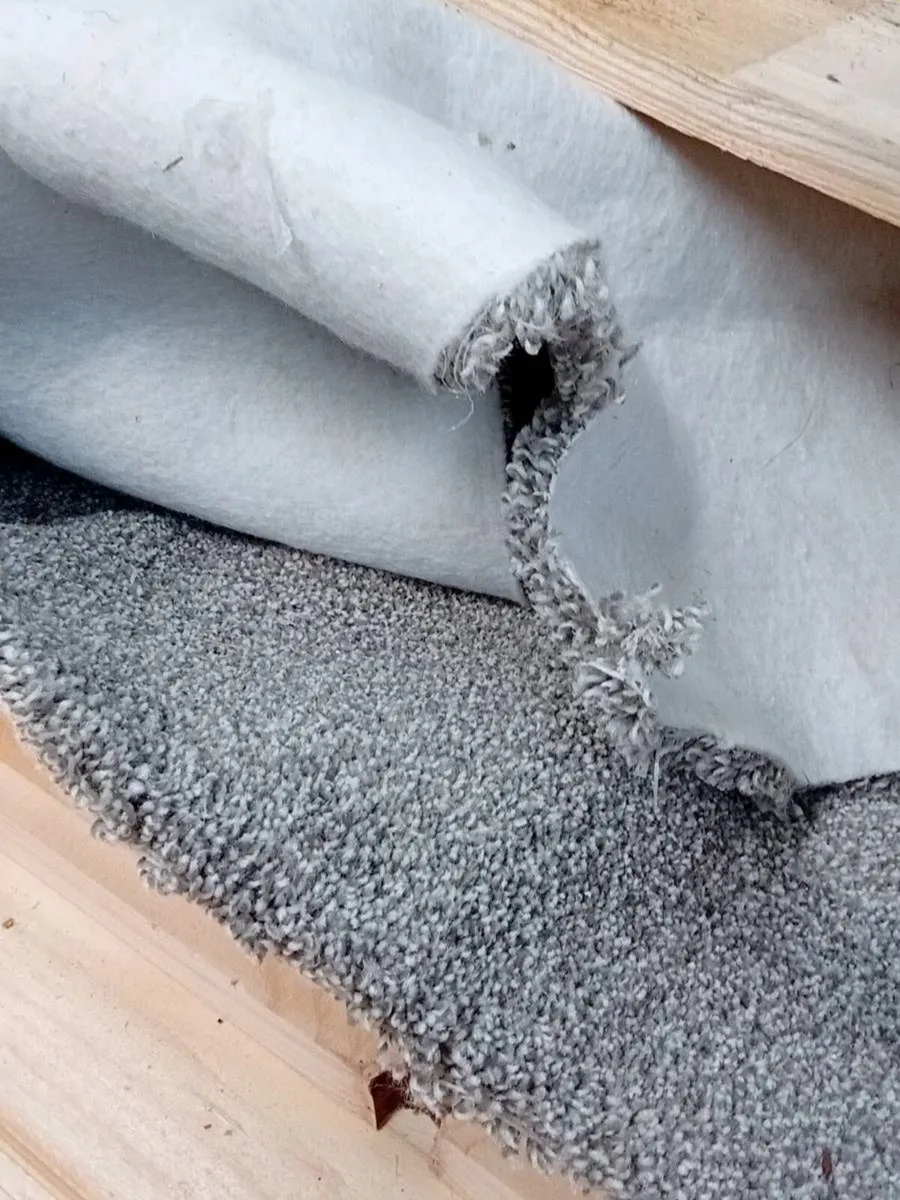 New carpet - Image 1