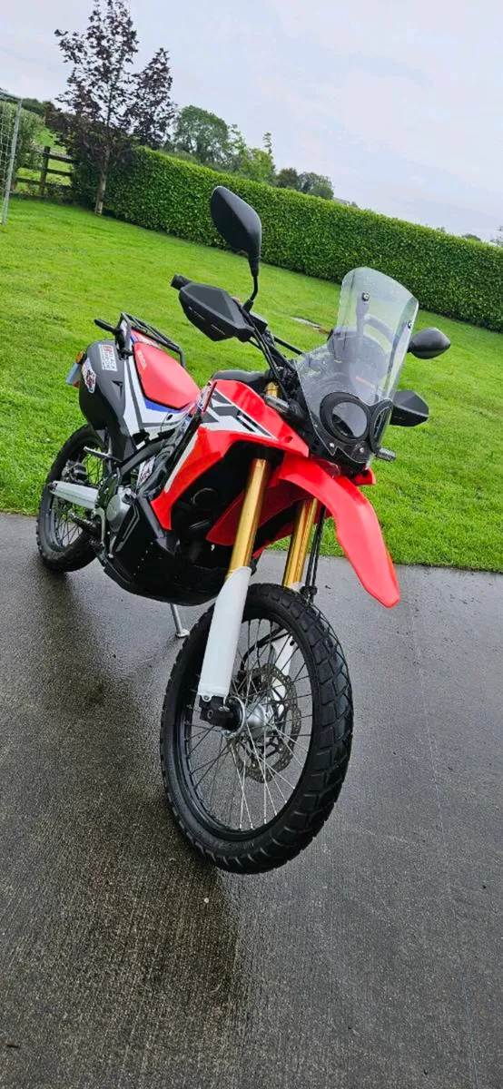 2017 CRF250 RALLY - Image 1