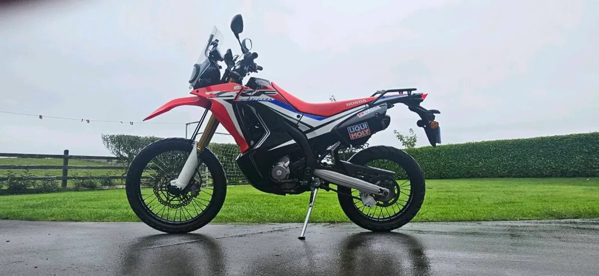 2017 CRF250 RALLY - Image 3