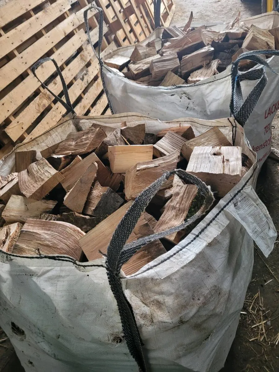 Firewood - Image 2