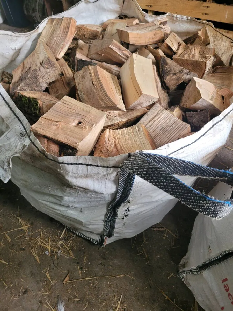 Firewood - Image 3
