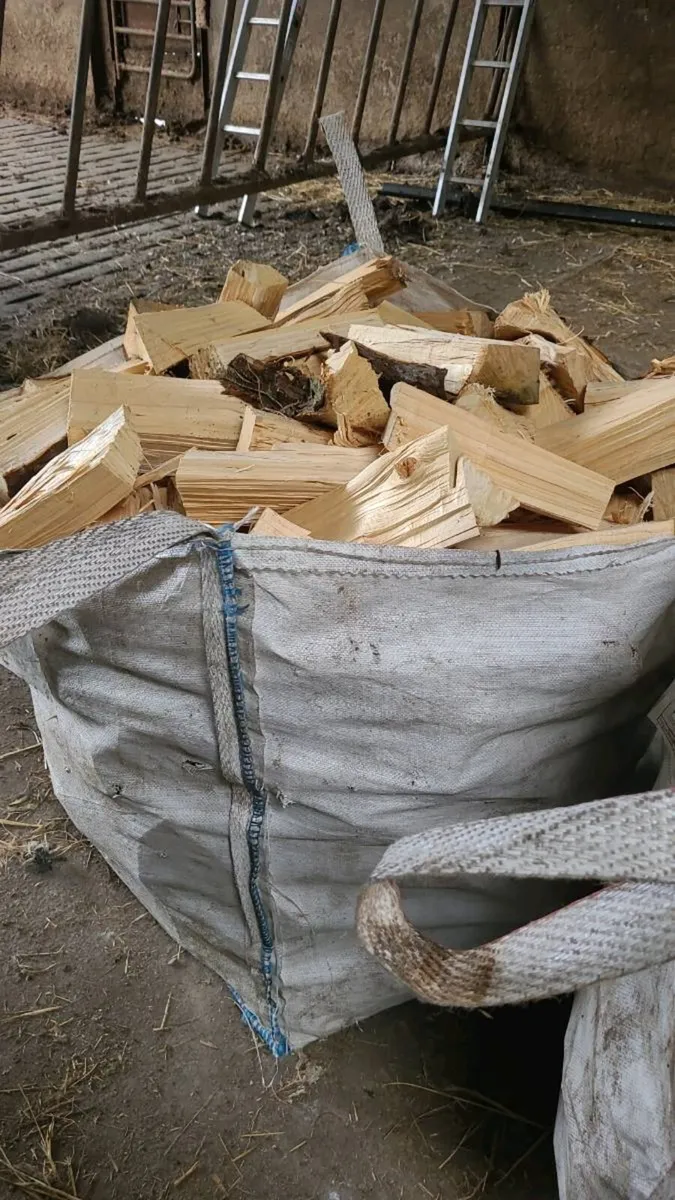 Firewood - Image 4