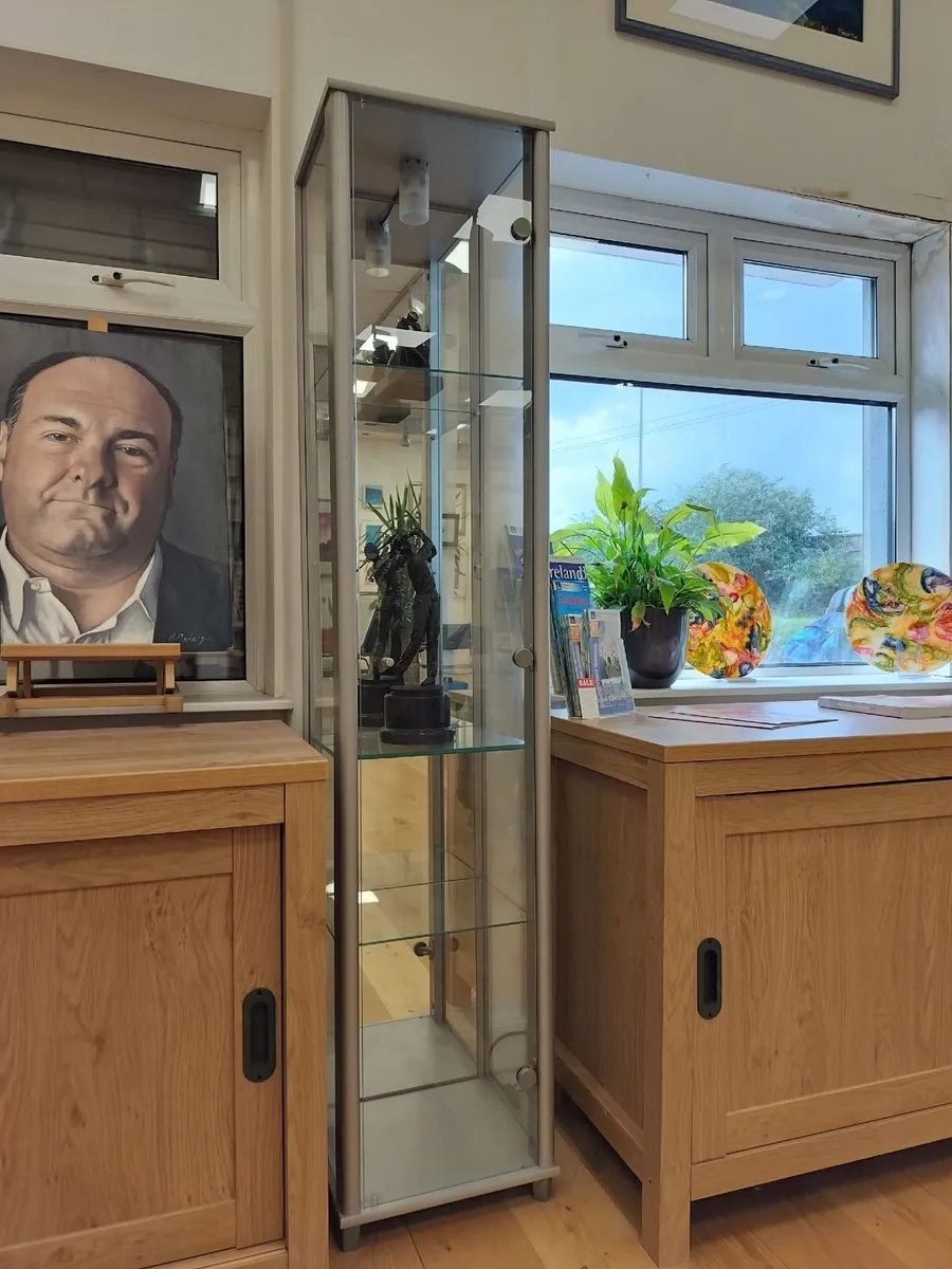 Glass Display Cabinet - Image 1