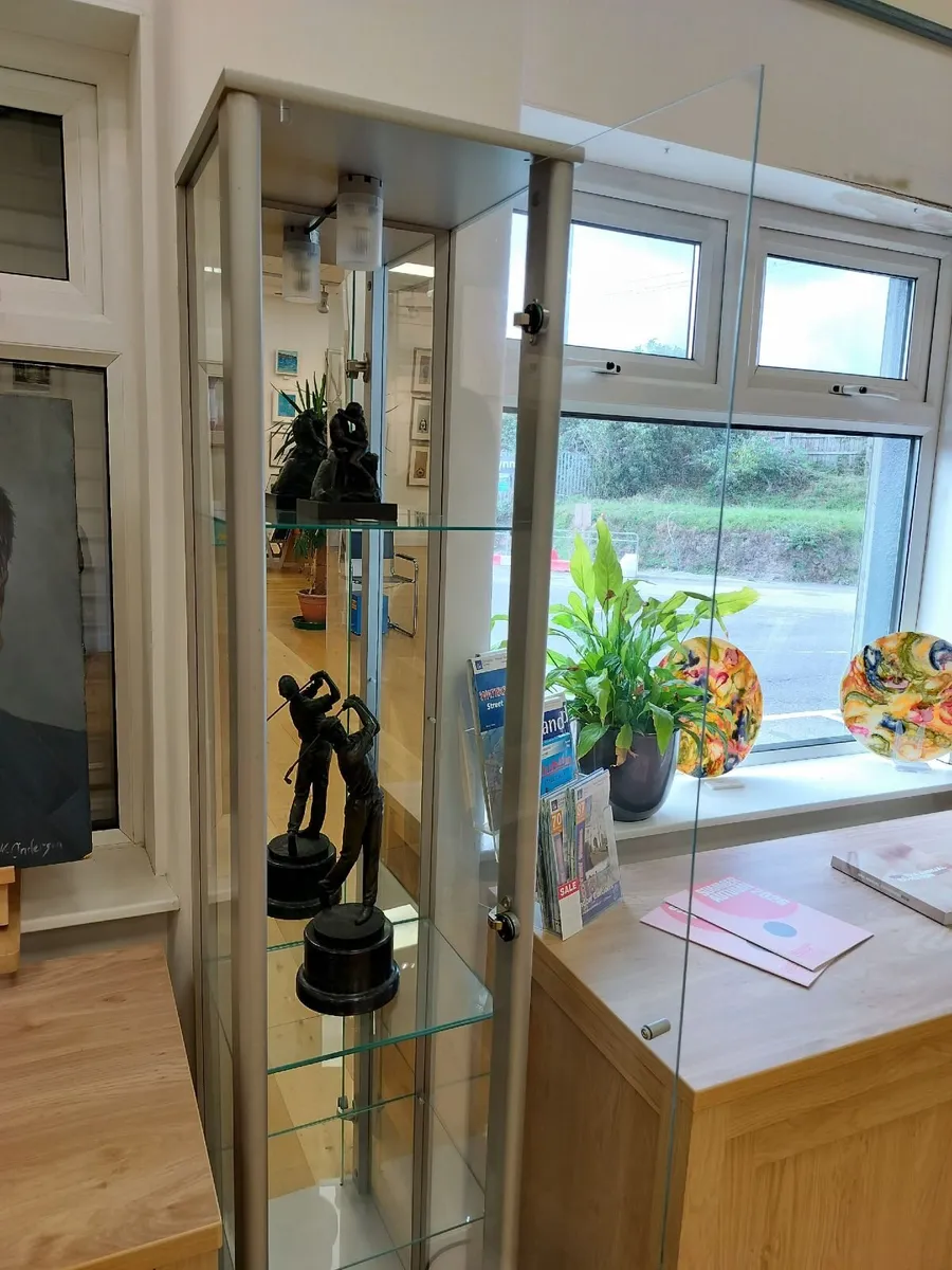Glass Display Cabinet - Image 2