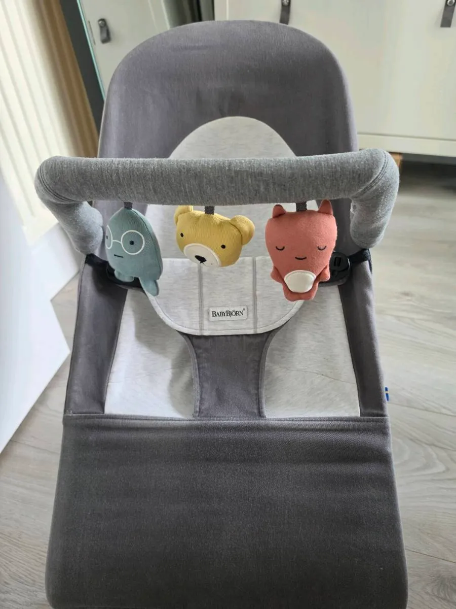 Babybjorn bouncer - Image 1