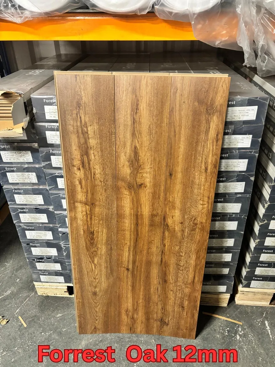 Laminated Flooring 8mm & 12mm Free Delivery - Image 2