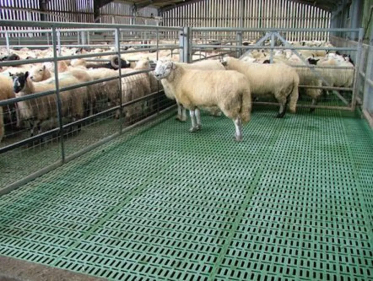 Sheep slats - mesh and plastic available - Image 4