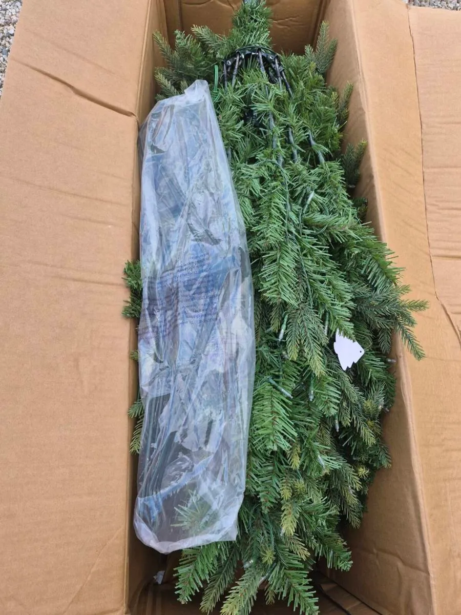 Christmas trees - Image 3