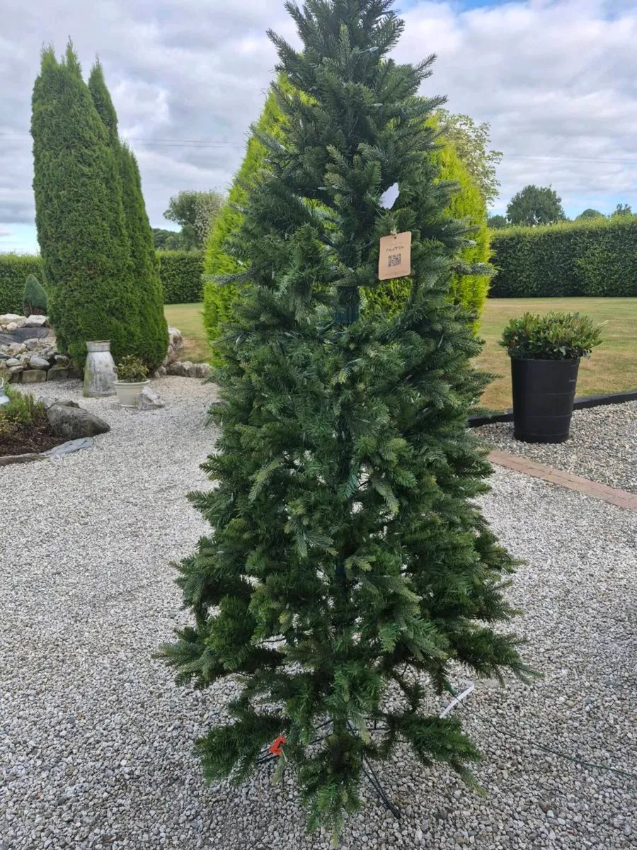Christmas trees - Image 4