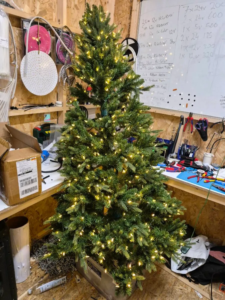 Christmas trees - Image 1