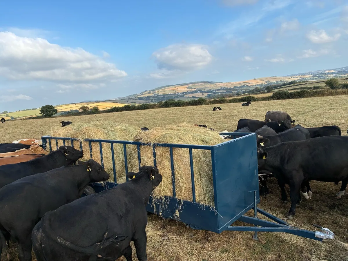Feed trailer - Image 1
